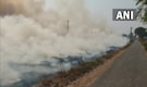 Punjab readies control room to tackle stubble burning as Delhi braces for winter pollution Punjab readies control room to tackle stubble burning as Delhi braces for winter pollution