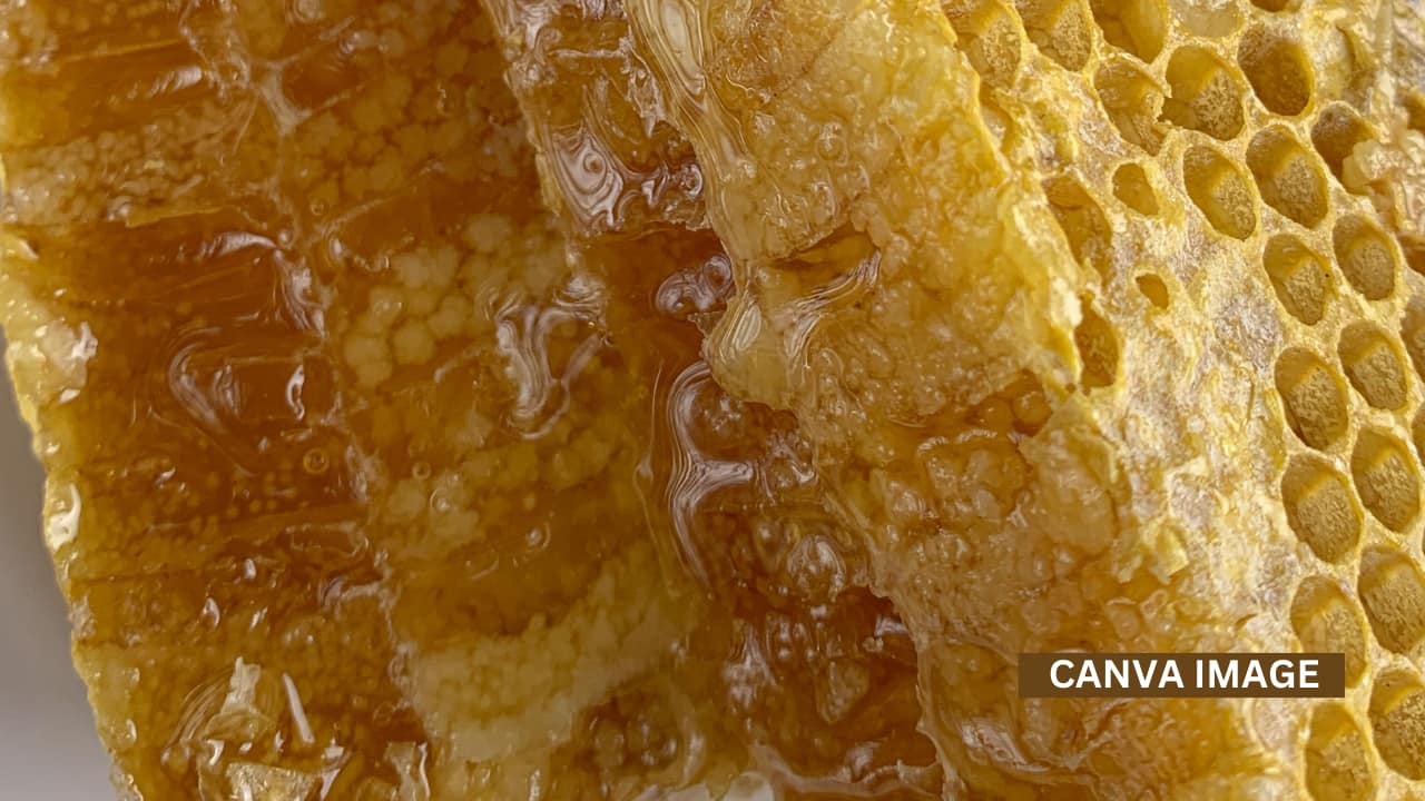 Maa Katyayani: Offer Honey to Maa Katyayani. She teaches balance, channels anger positively, and grants strength to fight negativity.