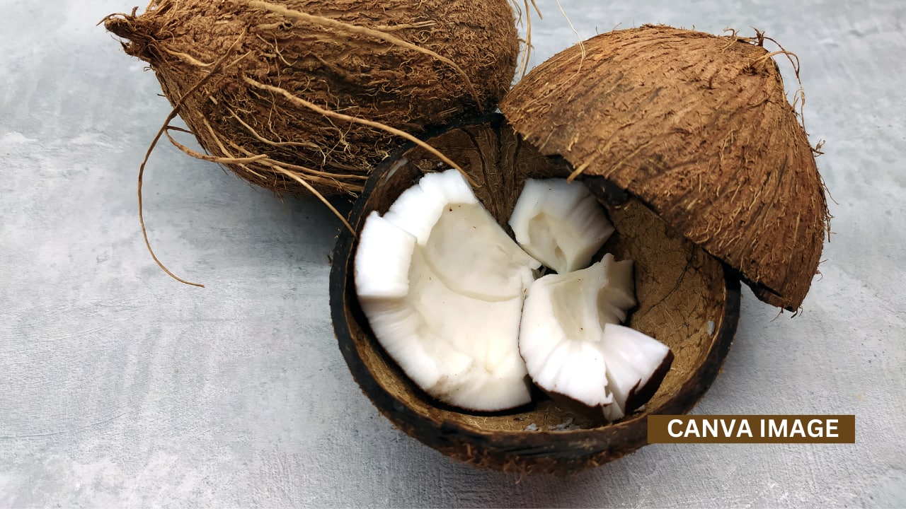 Maa Mahagauri: Offer Coconut to Maa Mahagauri. She purifies devotees, removes sins, and blesses with peace and worldly happiness.