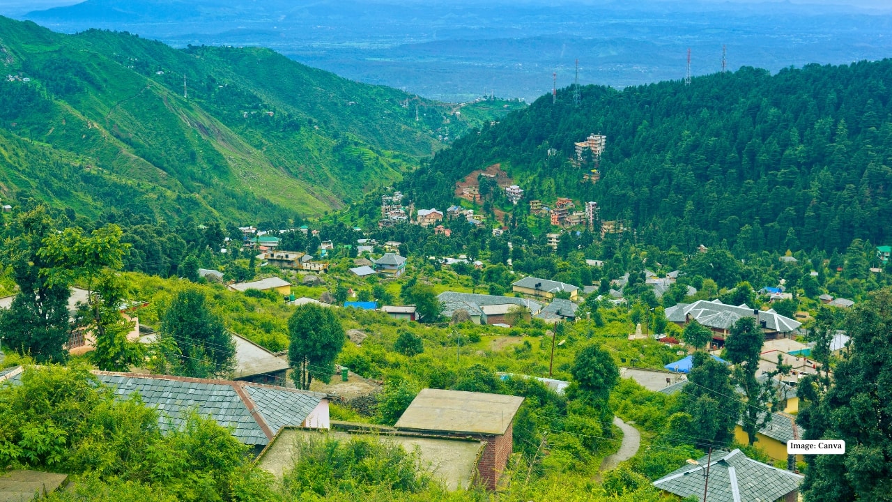 Dharamkot Travel Guide: Your Ultimate Himalayan Escape From City Chaos