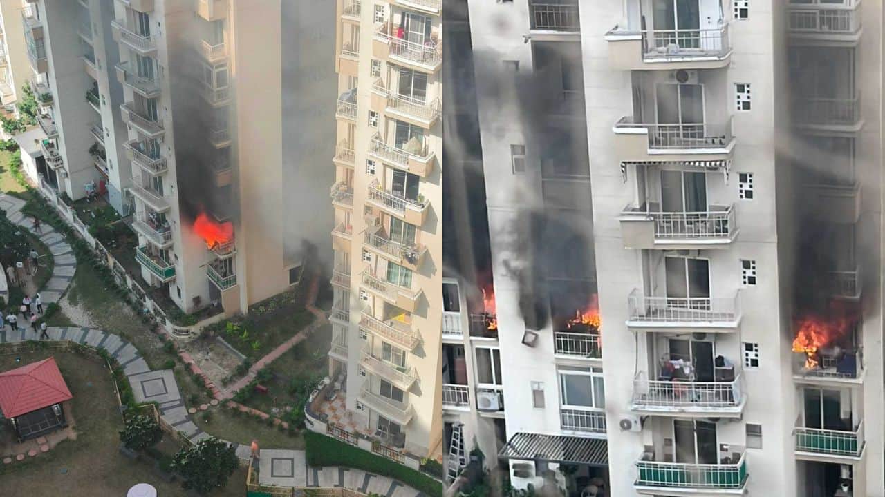 Watch: Massive fire engulfs flat in Noida's Sunworld Vanalika society, owners stare at loss worth lakhs