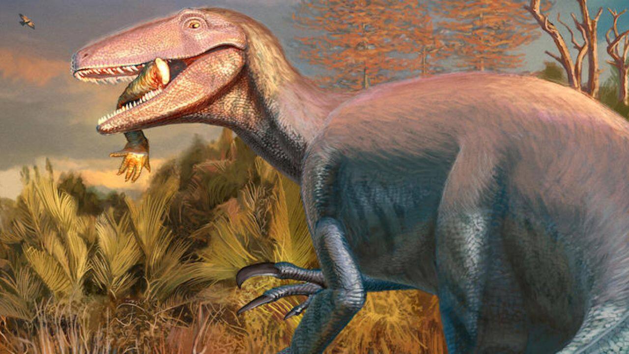Prehistoric megaraptor species unearthed holding its final meal before death 68 million years ago