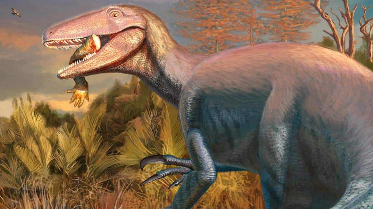 Prehistoric megaraptor species unearthed holding its final meal before death 68 million years ago