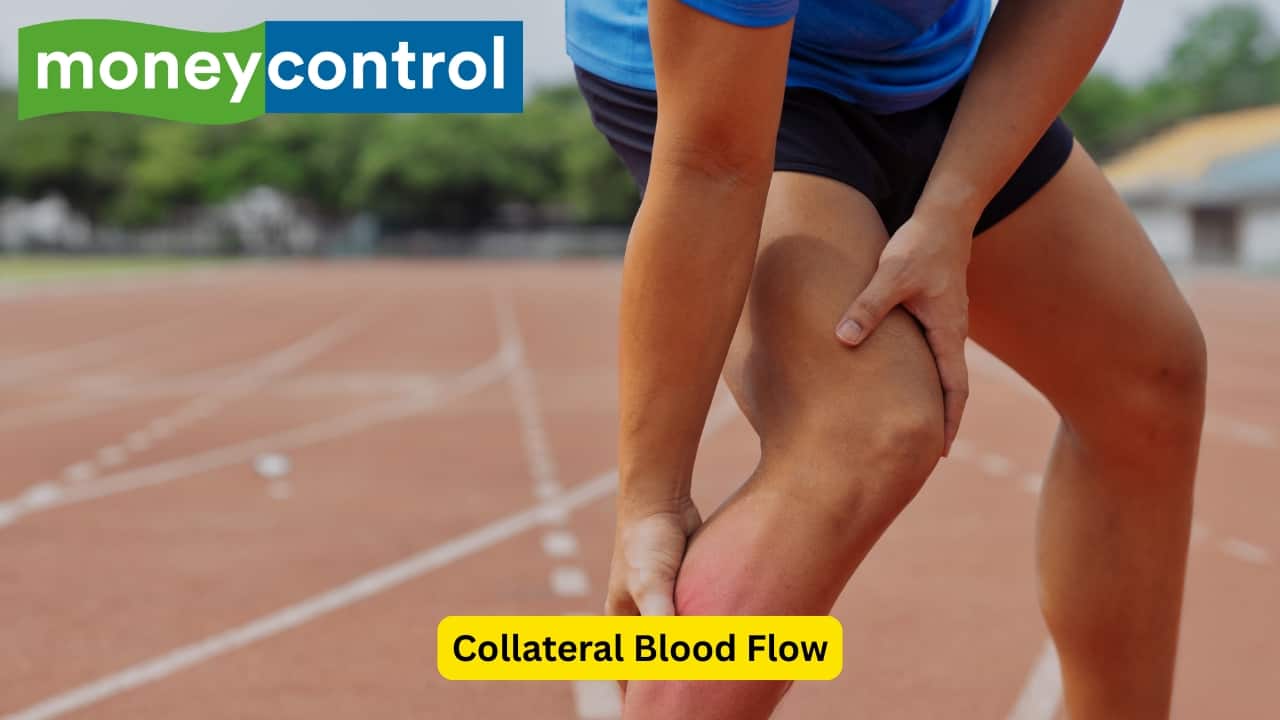 Collateral Blood Flow Pain due to peripheral artery disease may manifest while walking, however, on continuing to walk, this pain may disappear because of blood flow through the collaterals, which washes the metabolites away. As the disease progresses, the pain persists even while walking.(Image: Canva)