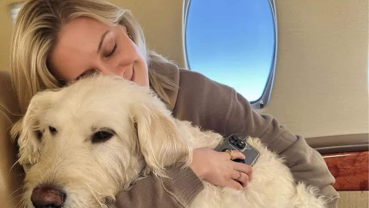 Kelsea Ballerini shares heartbreaking update on Dog Dibs after Chase Stokes breakup