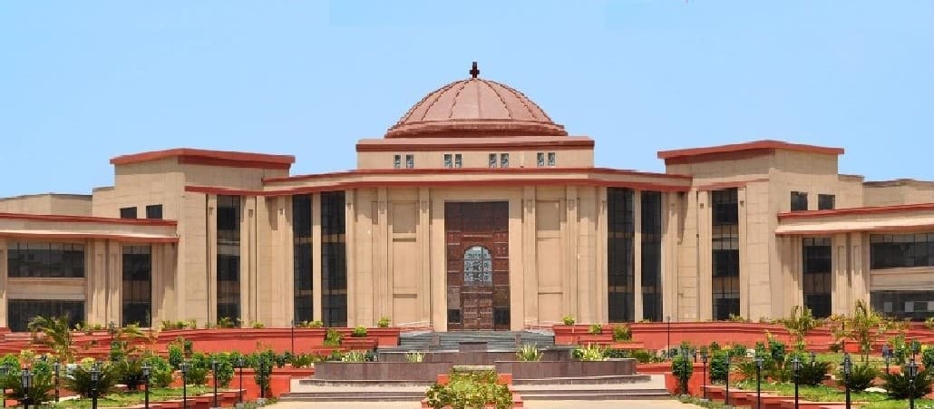 Calling husband ‘paaltu chuha’ valid ground for divorce: Chhattisgarh HC