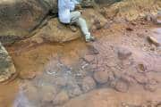 Research shows Japan’s hot springs show signs about early microbes
