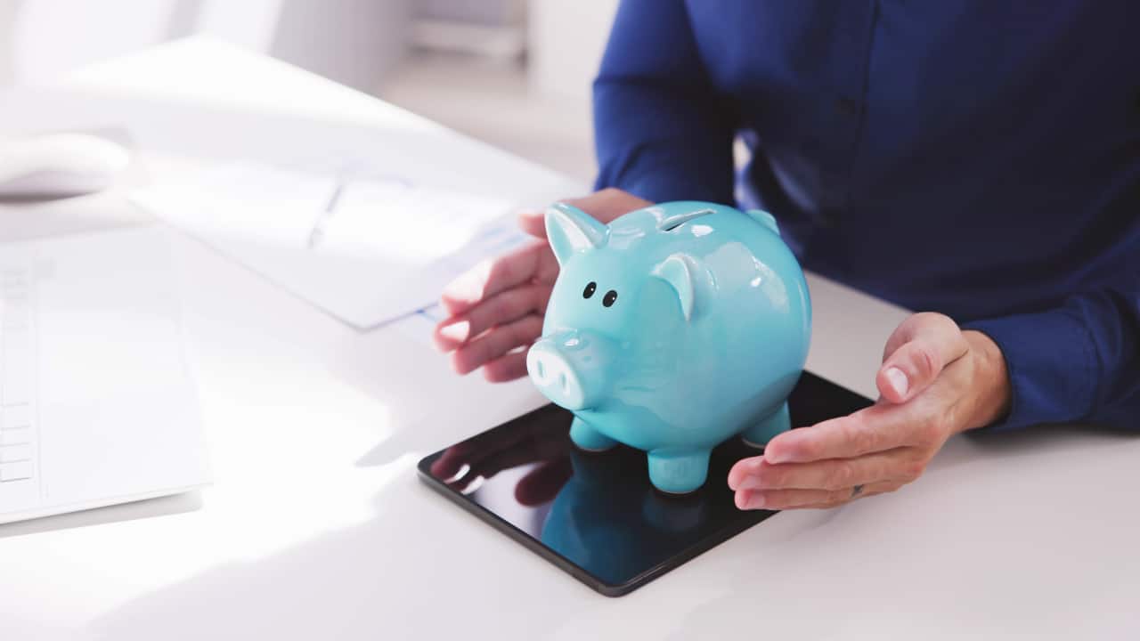 Safeguards and government guarantees