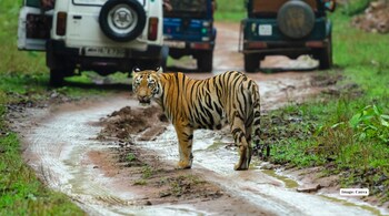 According to the farmers, the continuous noise helps deter wild animals from entering their fields.