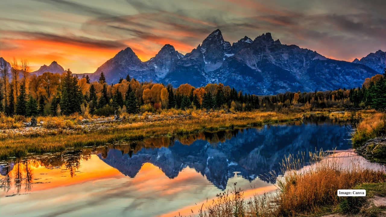 5. Grand Teton National Park, Wyoming Towering peaks and shimmering lakes set the stage for elk, moose, black bears, and bald eagles. Seasonal migrations and calm waterways make wildlife spotting possible year-round. (Image: Canva)