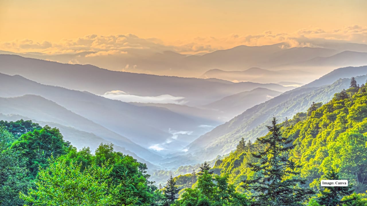 8. Great Smoky Mountains National Park, Tennessee/North Carolina America’s most visited park houses black bears, white-tailed deer, wild turkeys, and salamanders amid misty peaks, old-growth forests, and rich biodiversity across two states. (Image: Canva)