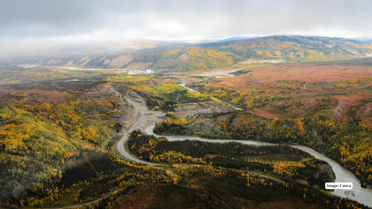 2. Denali National Park, Alaska A six-million-acre wilderness where moose, caribou, Dall sheep, and grizzlies roam beneath North America’s tallest peak. Remote trails and bus tours provide authentic Alaskan wildlife viewing experiences far from urban life. (Image: Canva)