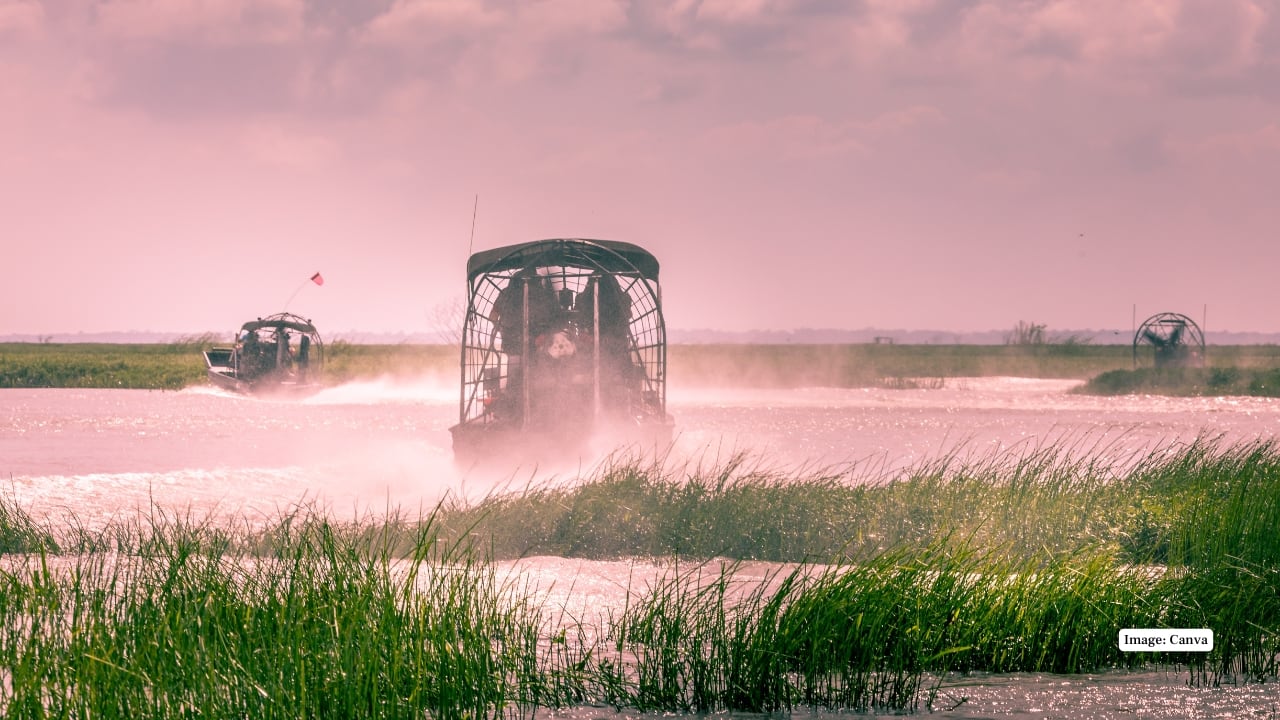 3. Everglades National Park, Florida Subtropical wetlands shelter American alligators, crocodiles, manatees, and a dazzling array of birdlife. Airboat rides, boardwalks, and kayaking let visitors watch these creatures in their natural, water-rich habitats. (Image: Canva)