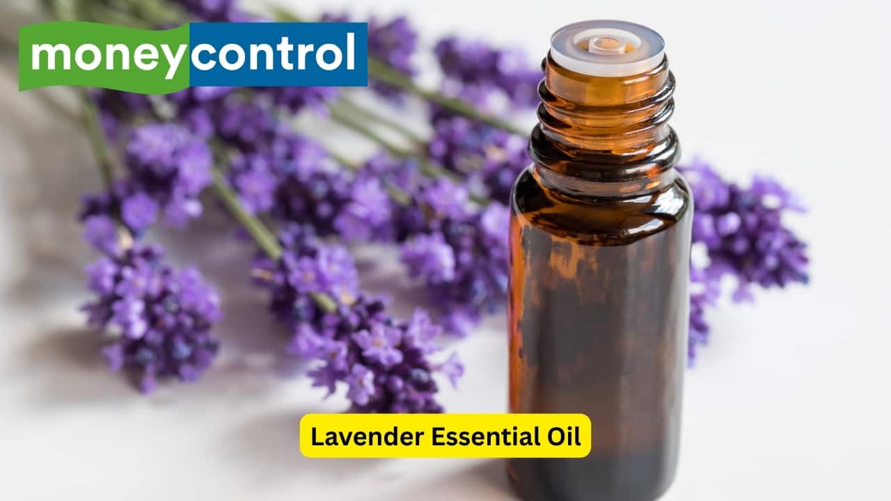 Lavender Essential Oil Lavender essential oil is famously known for its relaxing scent but, it also happens to be a powerful essential oil for hair growth! Studies have shown it can stimulate hair follicles and increase hair follicle counts and depth to promote faster and thicker hair growth. The anti-inflammatory and antimicrobial properties of lavender essential oil can help keep the scalp clean and balanced, while reducing things like dandruff and itchiness as well.(Image: Canva)