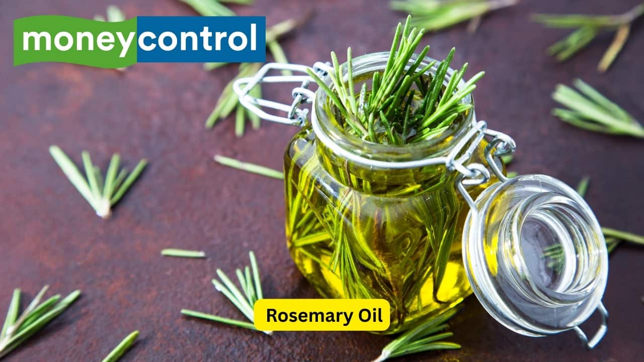 Rosemary Oil Research supports the use of rosemary oil in stimulating hair growth — even finding it just as effective as minoxidil, a popular medication for hair regrowth. Its mechanism involves increasing circulation to the scalp, which restores and encourages hair follicle health and hair growth. Rosemary oil also has anti-inflammatory properties that soothe the scalp and help minimize dandruff. (Image: Canva)