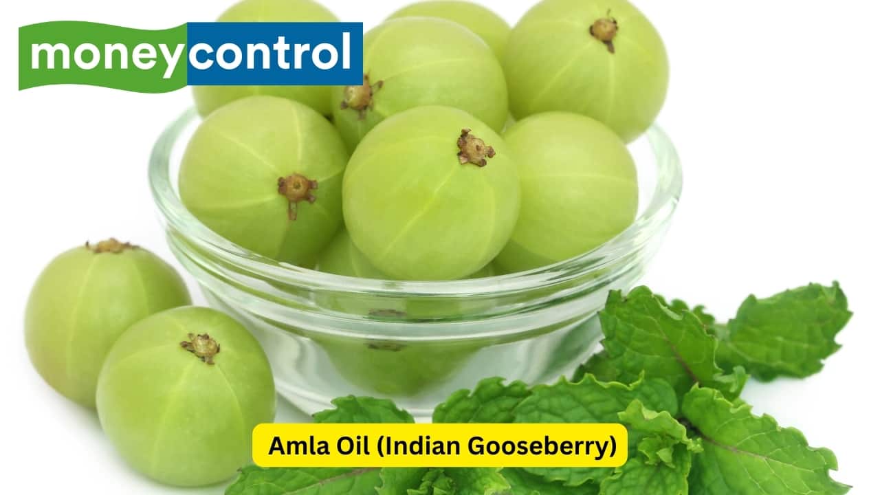 Amla Oil (Indian Gooseberry) Amla oil is an oil that comes from Indian gooseberries and is very high in vitamin C and has antioxidants that help strengthen hair and facilitate growth. It also works to stimulate blood circulation to the scalp, reduce hair fall out and also prevent premature graying. Amla oil also has a cooling element, which is useful for calamine a fussy angry or itchy scalp. Regular use of amla oil can lead to hair that looks shinier, thicker in appearance, and overall more resilient.(Image: Canva) Disclaimer: This article only provides generic information. Don’t treat it as a substitute for qualified medical opinion. Always consult a specialist for specific diagnosis.