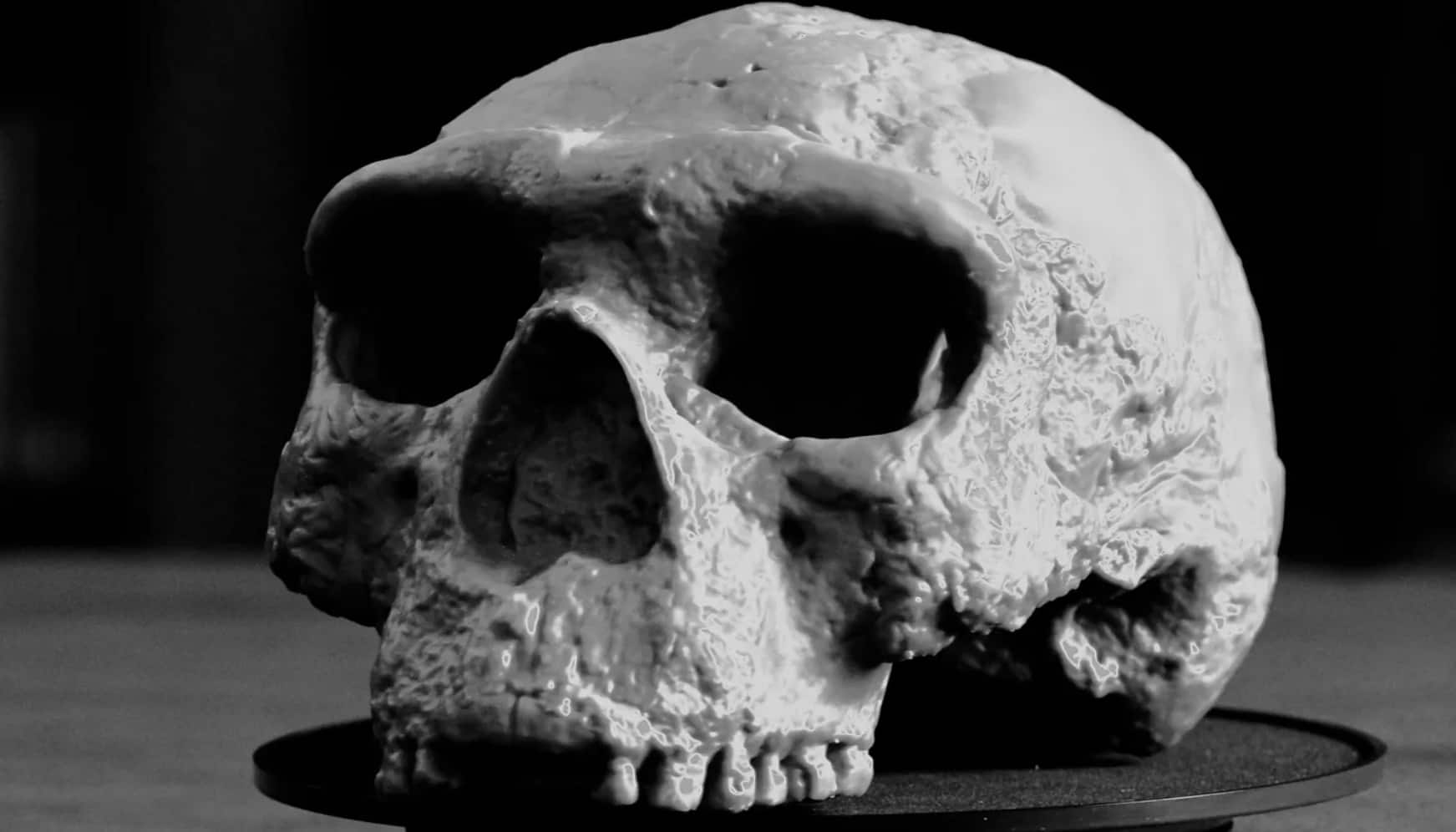 How a million-year-old skull unearthed in China could reveal earlier origins of modern humans?