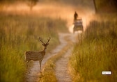 6 National Parks in India Perfect for a Family Vacation