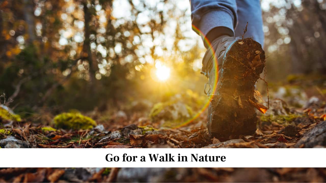 Go for a Walk in Nature