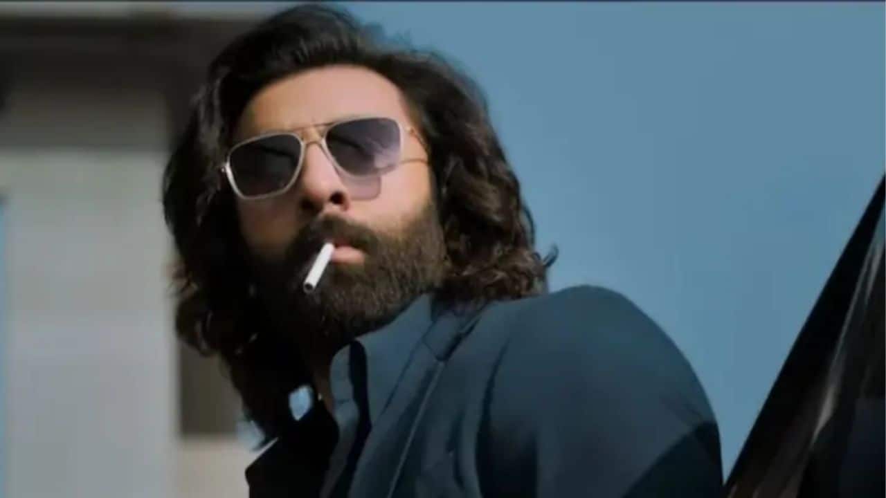 Animal Park A sequel to Animal, this film reunites Ranbir with director Sandeep Reddy Vanga. Ranbir will be seen in a dual role, and the story is said to be darker and even more intense than the original. Currently in pre-production, the film is eagerly awaited by fans of gritty, emotionally charged cinema.