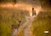 8 Best National Parks to Visit in October