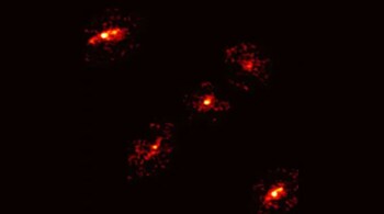 This unusual 'Einstein cross' displays light from a distant galaxy five times, instead of the typical four, creating a rare cosmic pattern. (Image: Nicolás Lira Turpaud (ALMA Observatory) & adapted from Cox et al. 2025)