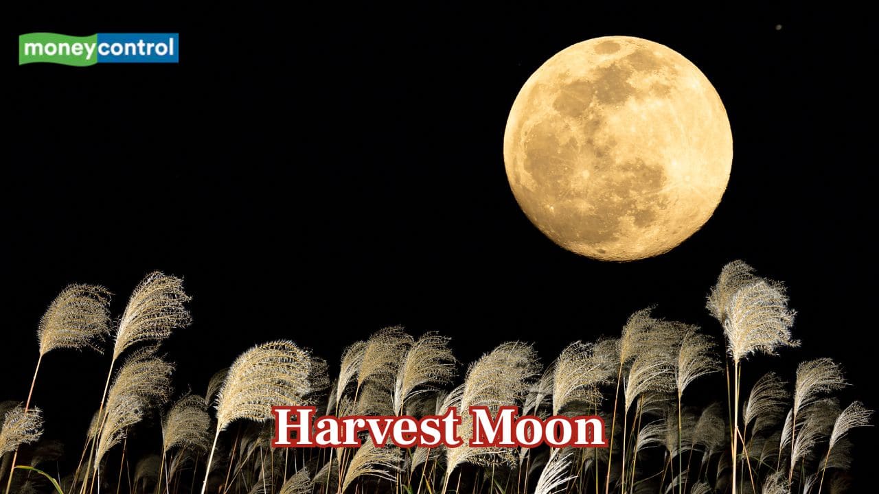 Rare October 'Harvest Moon' returns in 2025: When to watch and why it’s so special
