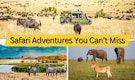 Discover 10 Dreamy Safari Destinations for the Ultimate Wildlife Experience