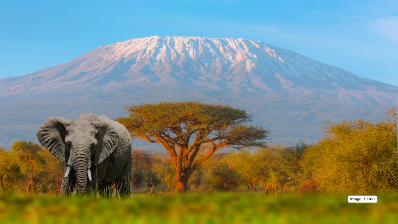 Most Climbed Mountains From Around The World
