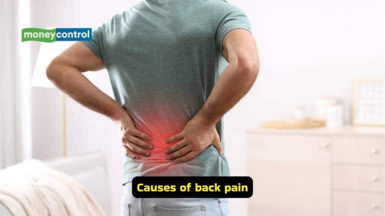 9 easy Yoga asanas to reduce chronic back pain and improve posture