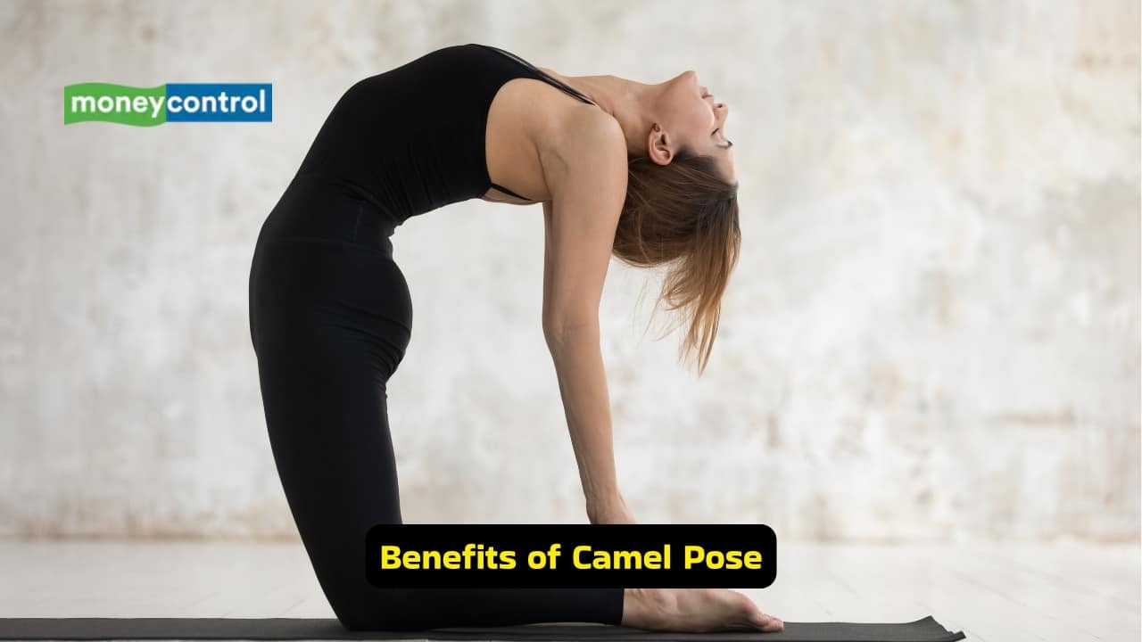 Easy Yoga asanas to reduce chronic back pain and improve posture (Image: Canva)