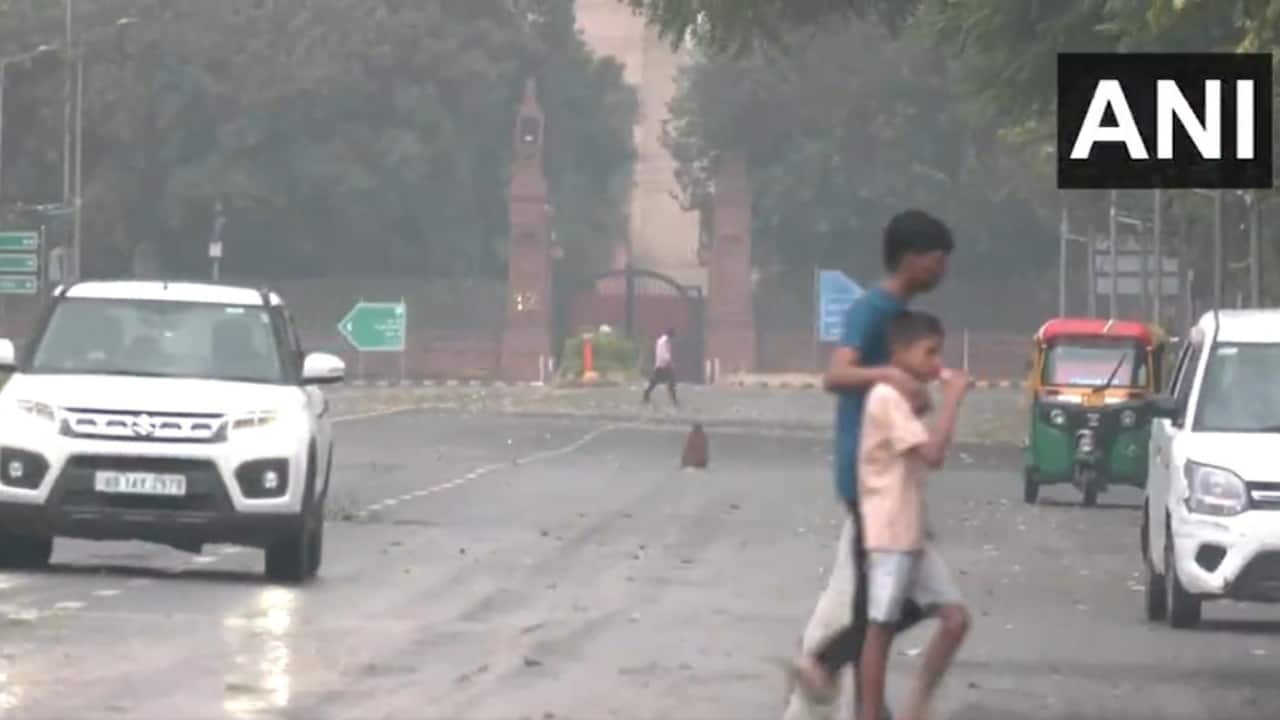 The minimum temperature was recorded at 28.7 degrees Celsius, 5.4 notches above normal. Relative humidity stood at 74 per cent at 8.30 am, the IMD was quoted by PTI as saying. (Photo: X)