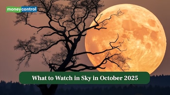 What to Watch in Sky in October 2025: What to Watch in Sky in October 2025: Harvest Supermoon, Orionid Meteor Shower, Comet Frenzy and More (Image: Canva)