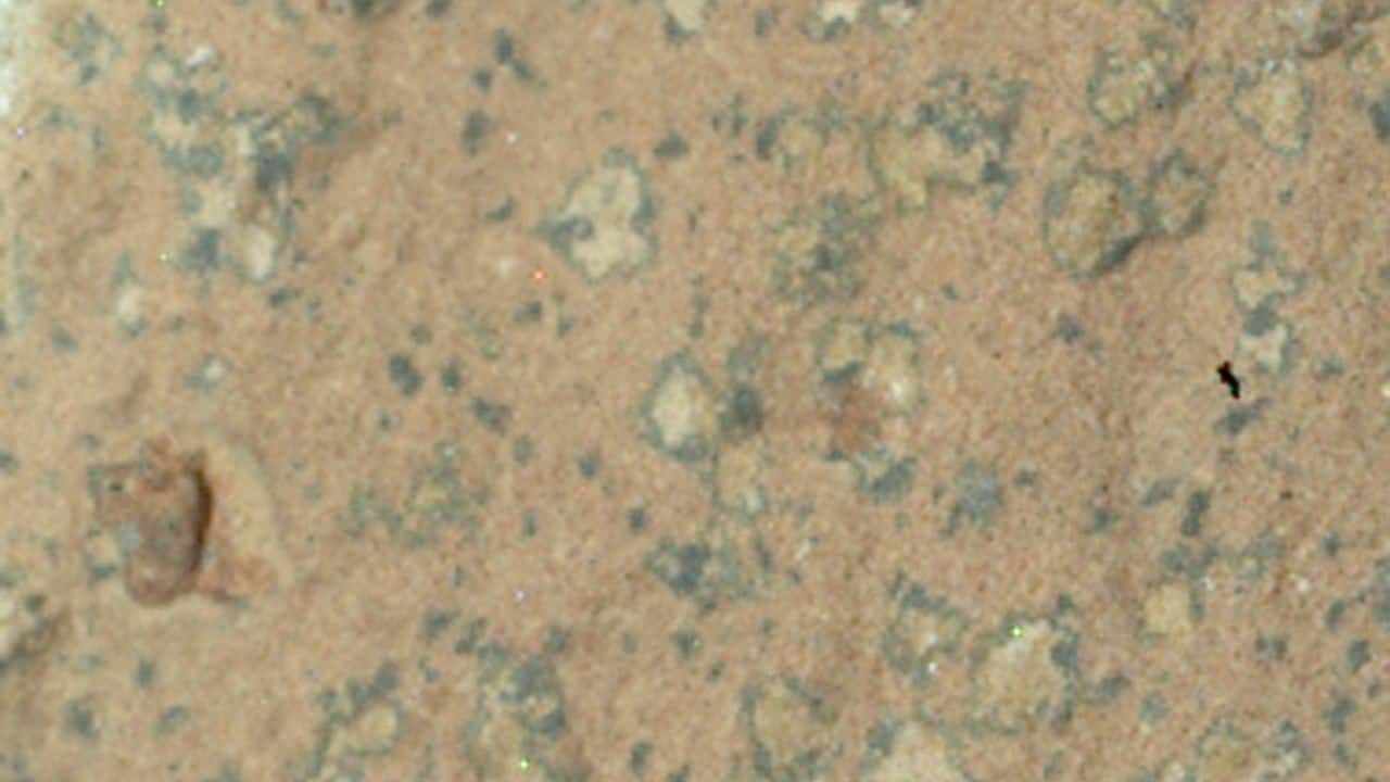 7. Leopard Spots on Martian Rocks: Millimeter-sized &quot;leopard spots&quot; on Mars' Cheyava Falls rock may indicate ancient microbial life, sparking scientific intrigue. (Image: NASA/ JPL-Caltech/ MSSS/Perseverance Rover)