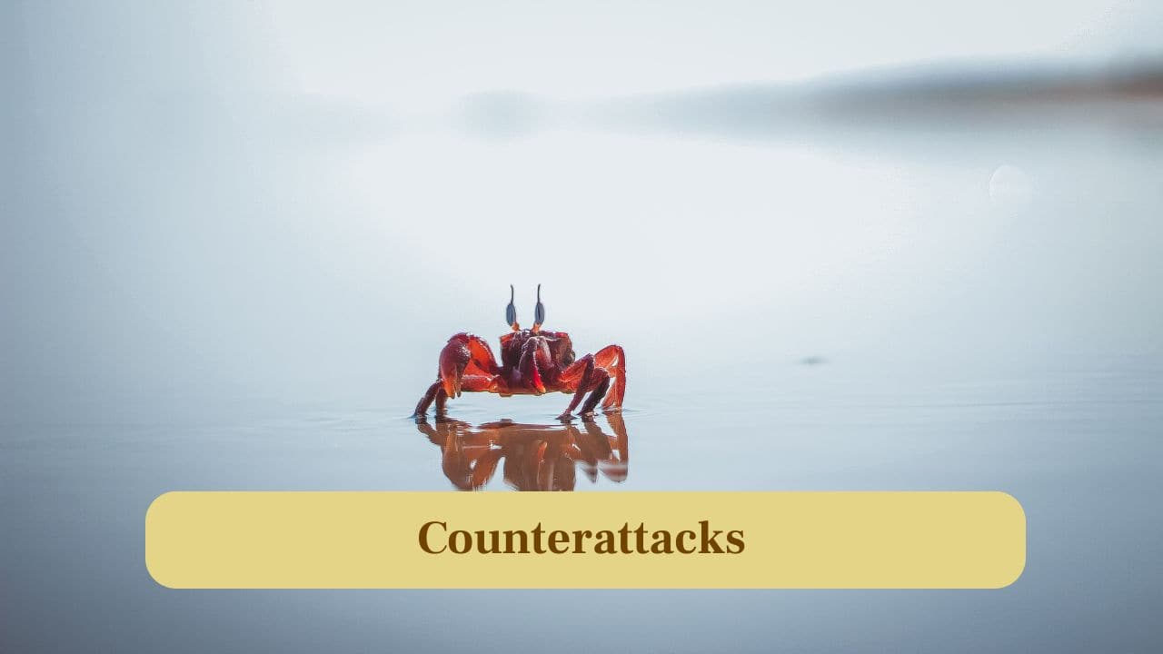 6. Counterattacks: Octopuses can escape using ink, jet propulsion, and arm regeneration; crabs counter with pinches and rolling, but less unpredictably. (Image: Canva)
