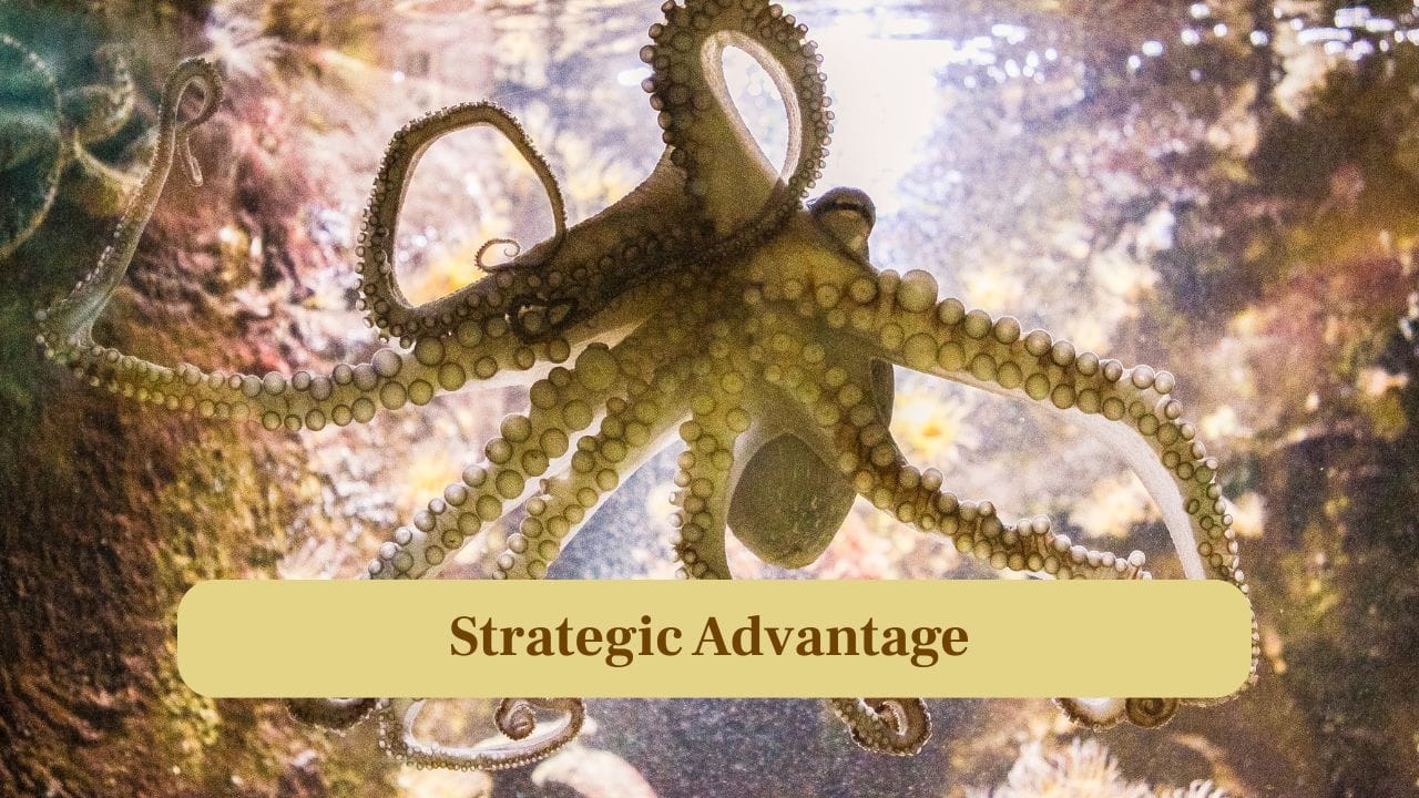 7. Strategic Advantage: Octopuses manipulate their environment and outthink opponents, while crabs rely on brute strength, often giving the octopus the tactical edge. (Image: Canva)