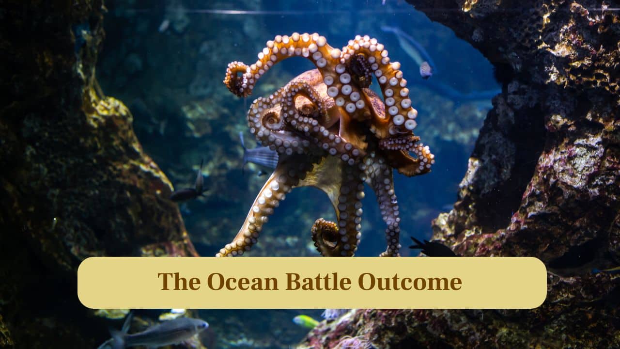 10. The Ocean Battle Outcome: Although crabs are armored and strong, the octopus’ combination of intelligence, stealth and flexibility usually secures victory. (Image: Canva)