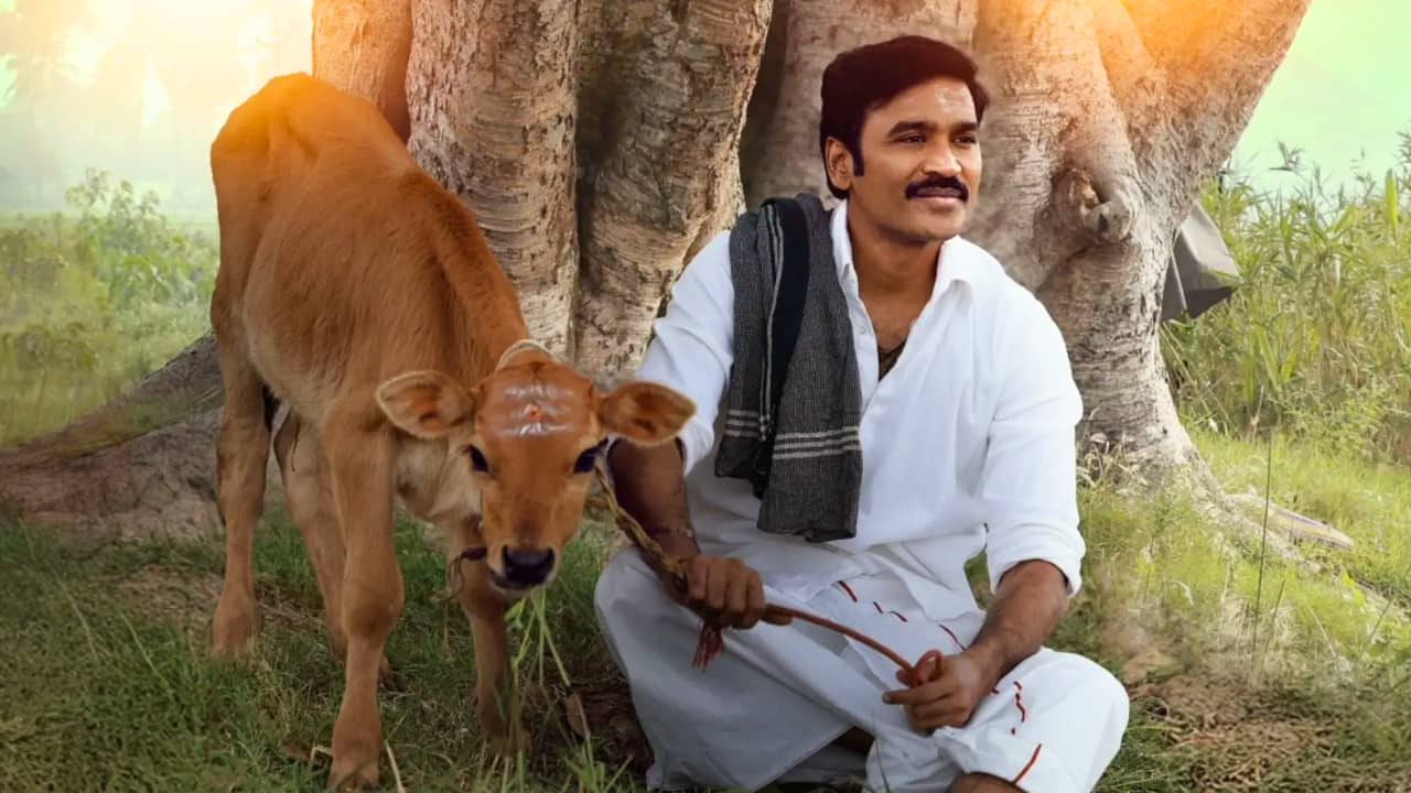 Idli Kadai Twitter Review: Netizens praise Dhanush’s performance, call screenplay 'boring'