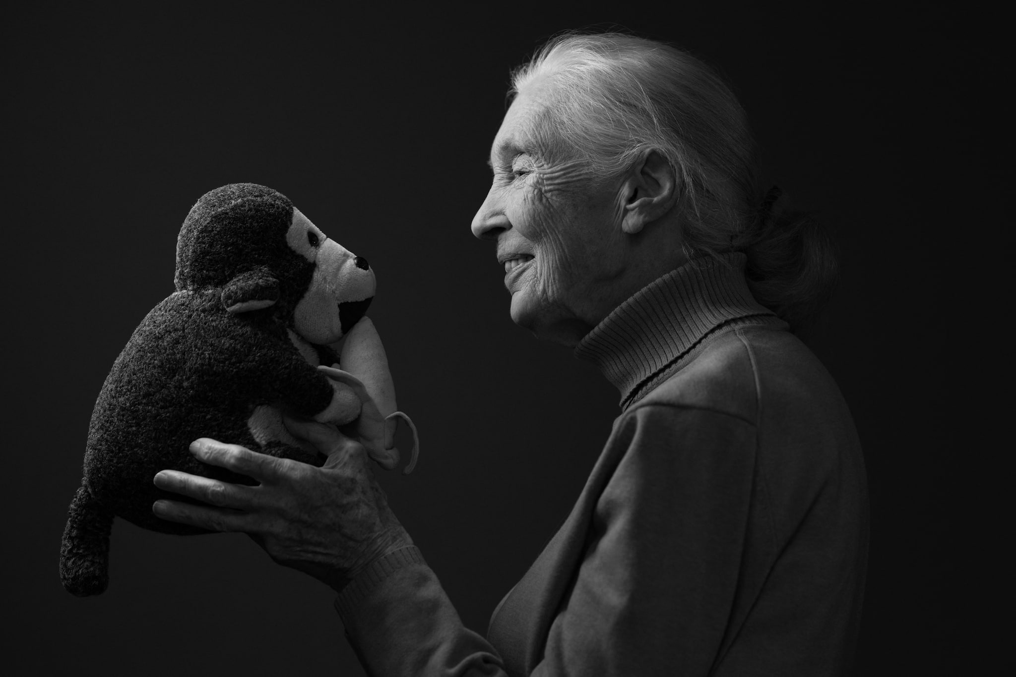'Aggressive chimp': Jane Goodall once said Donald Trump resembled a 'swaggering chimpanzee' during 2016 campaign
