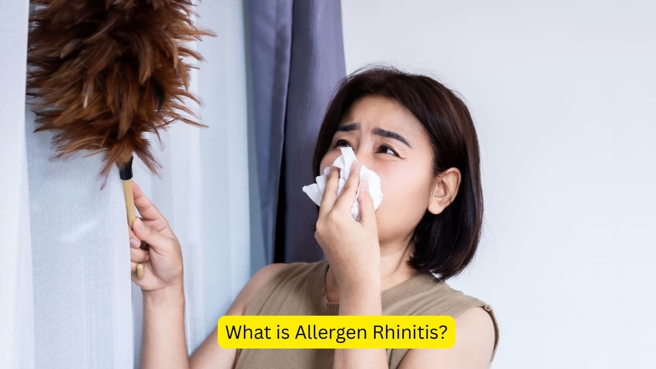 What is allergic rhinitis? Symptoms, causes, and how to manage it