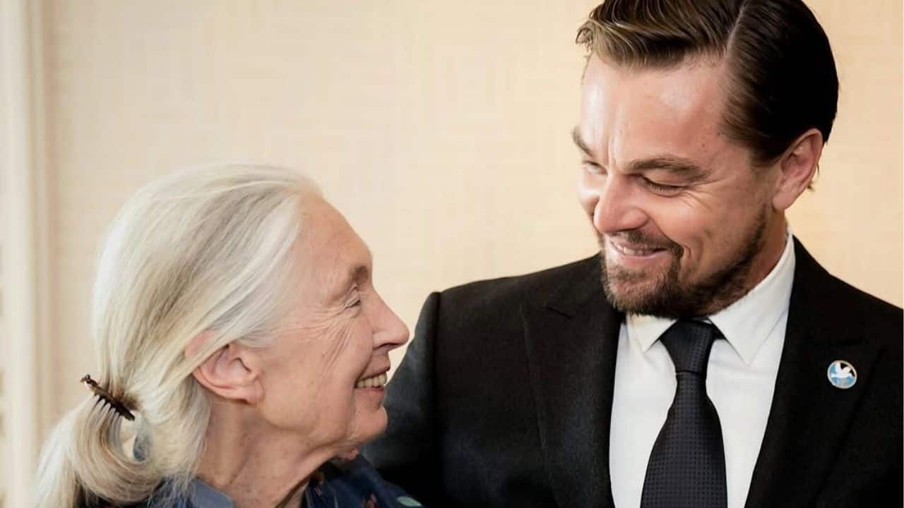 Jane Goodall passes away at 91; Leonardo DiCaprio pays emotional tribute