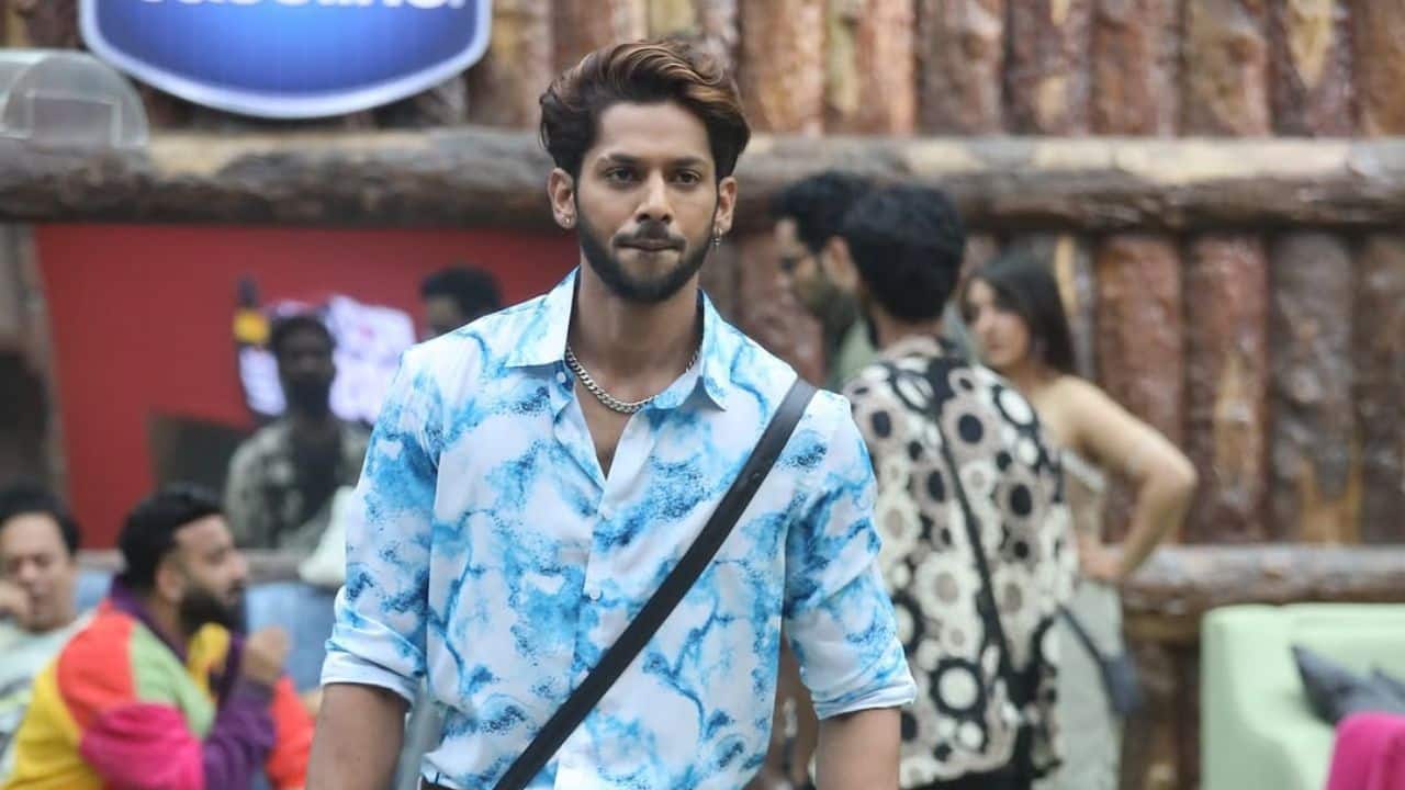 Daily soap debut In 2023, Baseer took on the role of Shaurya Luthra in Zee TV's popular show Kundali Bhagya, proving his versatility beyond reality television. His role as the rich and spoiled Shaurya Luthra helped him transition to a scripted series and showcase his skills as a performer.