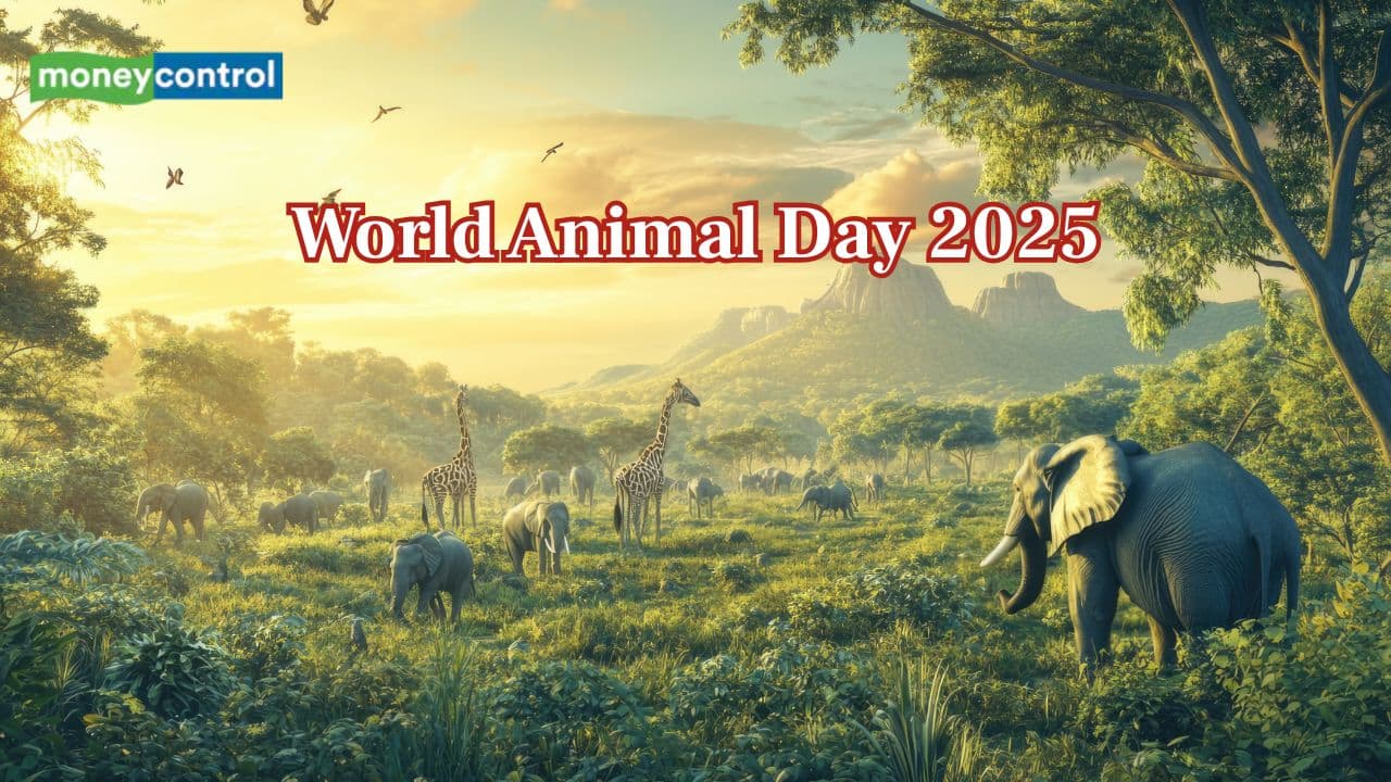 World Animal Day 2025: Date, theme, history and global significance