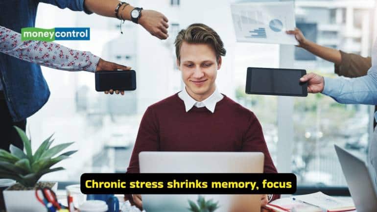 Stress affects your brain and nerves (Image: Canva)