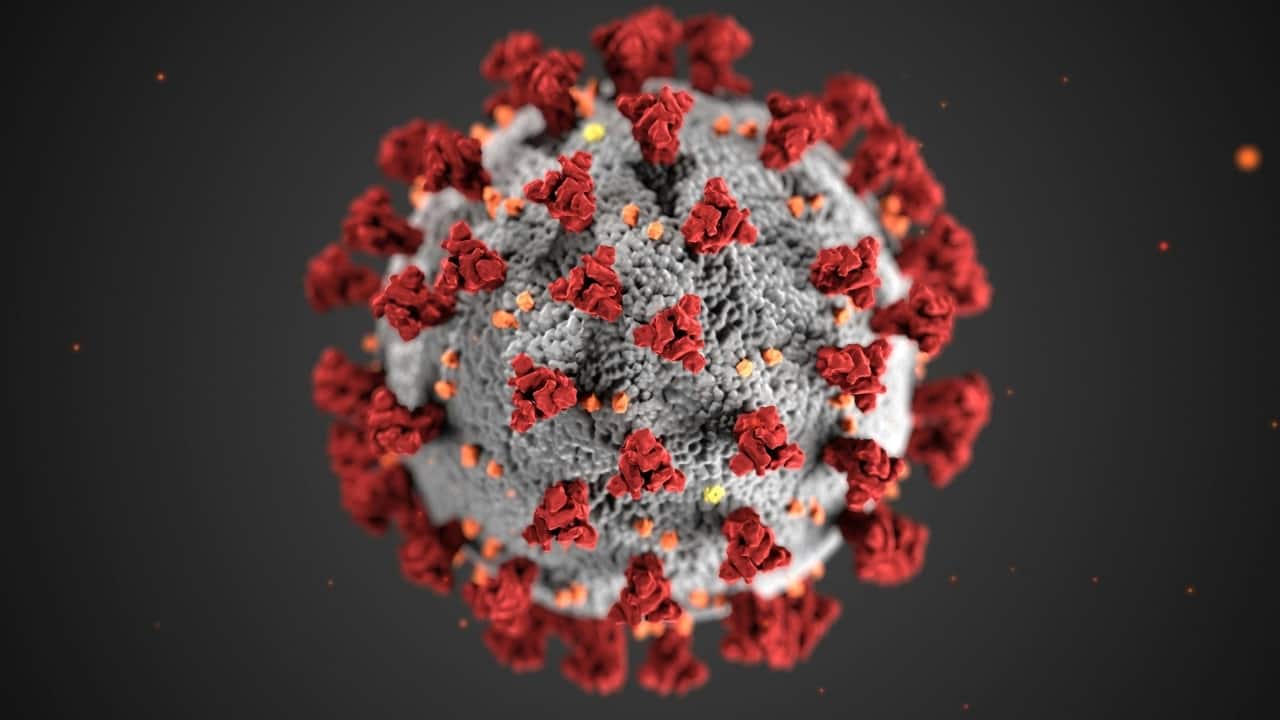 Norovirus outbreak on Royal Caribbean cruise in US: Symptoms, risks, and safety measures
