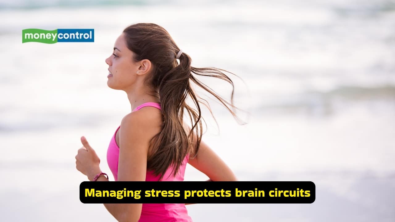 Stress affects your brain and nerves (Image: Canva)
