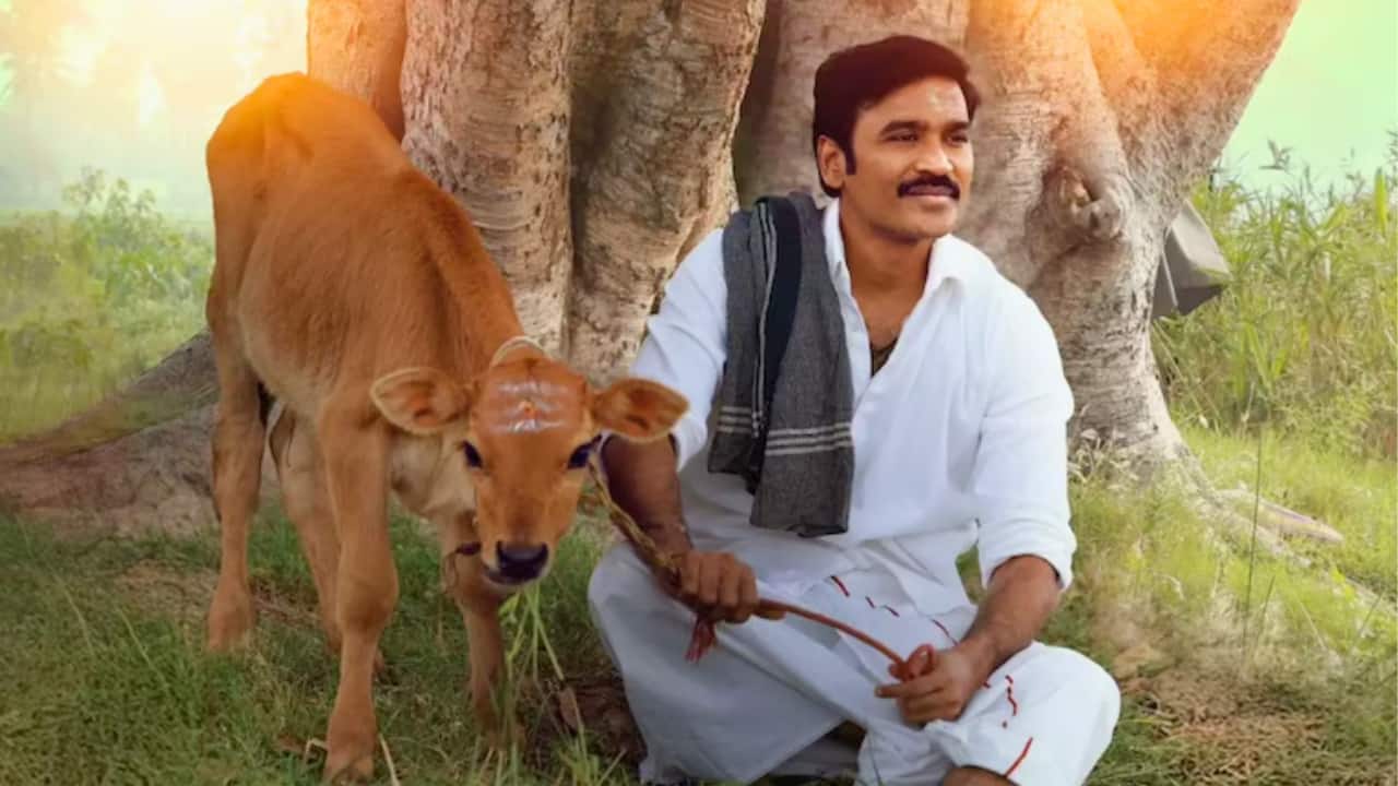 Dhanush gets emotional as Idli Kadai crosses Rs 21 Crore in just two days