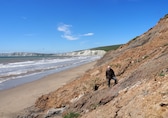 Can the Isle of Wight keep its economy afloat amid setbacks and new opportunities?