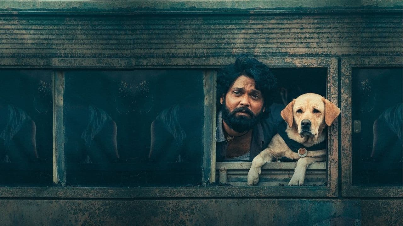 Rakshit Shetty on 777 Charlie winning 4 State awards: ‘Feeling grateful and humbled’