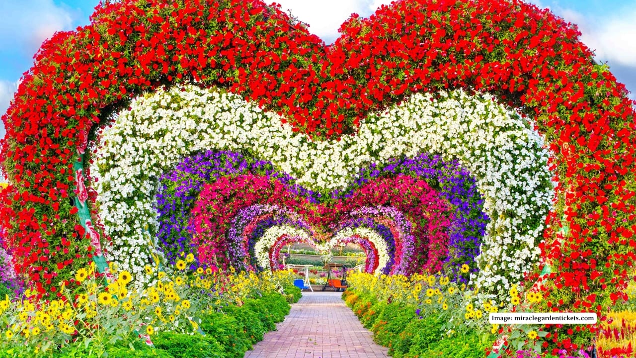 Dubai Miracle Garden 2025 Opens: Dates, Tickets and Must-See Attractions